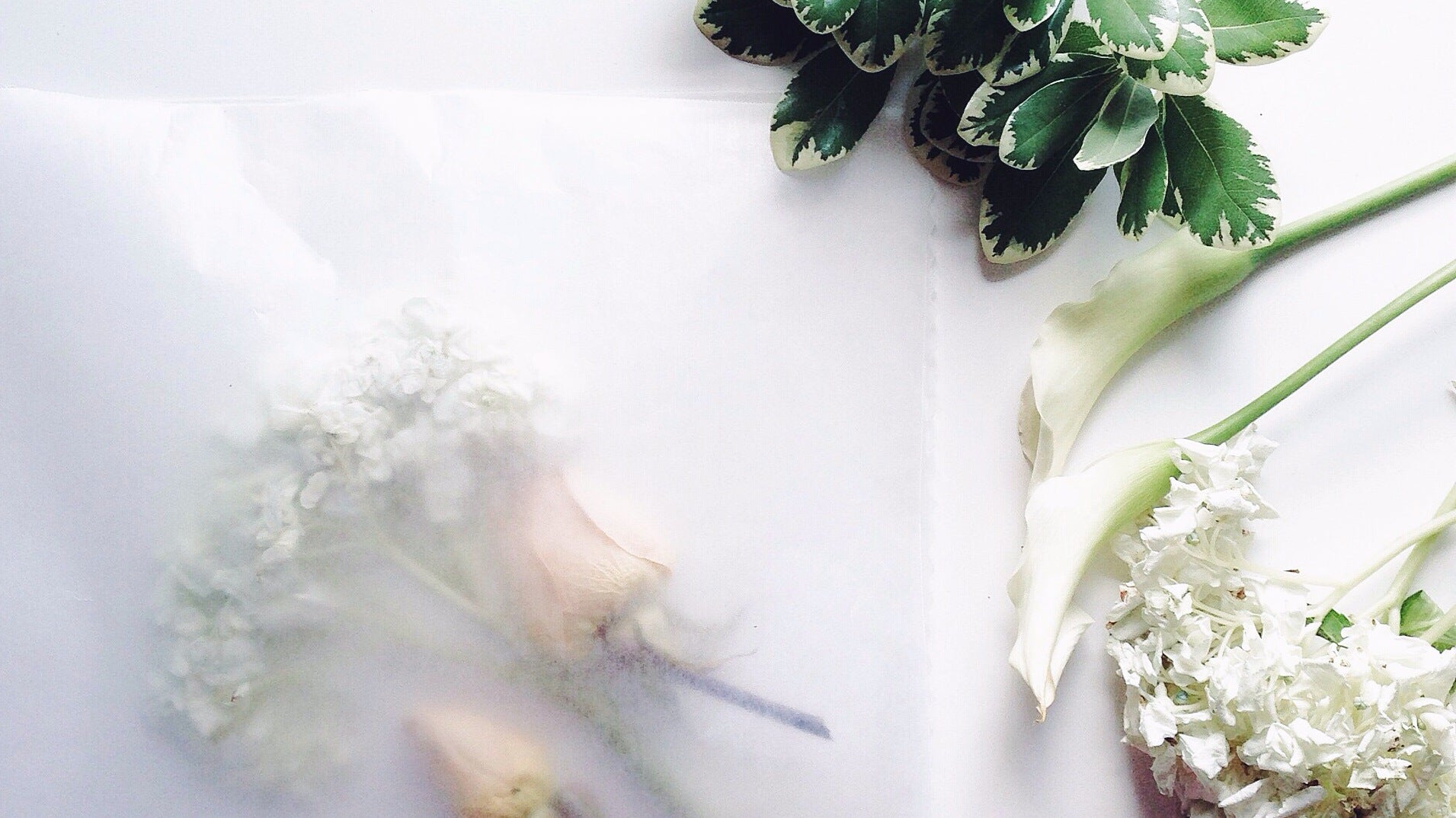 Jardin du Souvenir: The Art of Pressing Flowers