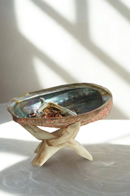 Abalone shell on wooden tripod stand for incense burning and smudging rituals